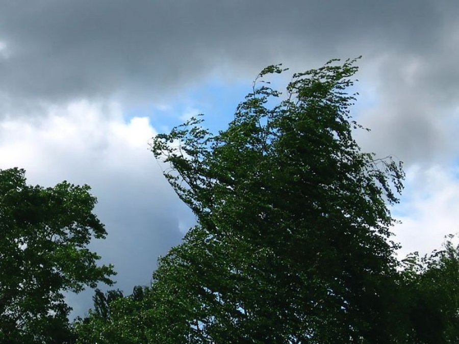 В Костромской области ожидается сильный ветер с грозой