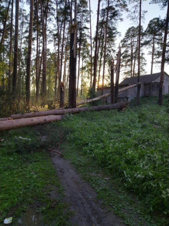 В Костромской области ураганный ветер сносил крыши и обрывал провода
