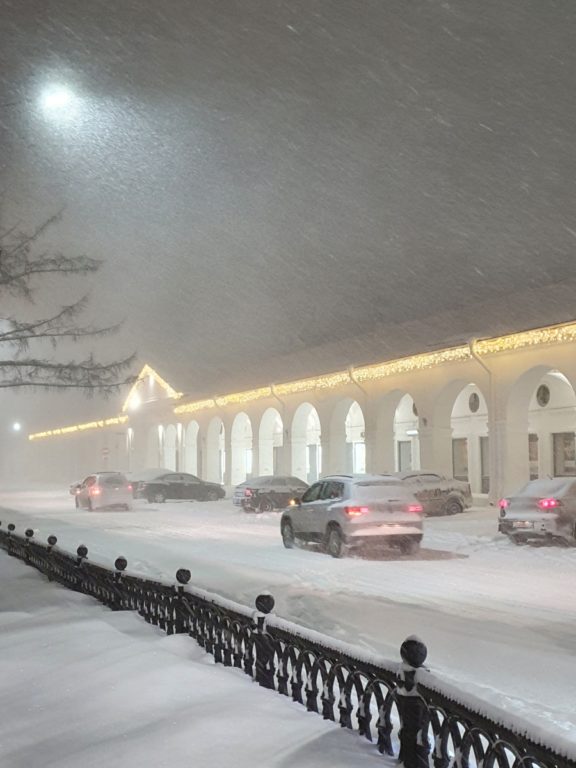 Из-за ветра, снега и гололёда в Костроме объявлен режим повышенной готовности
