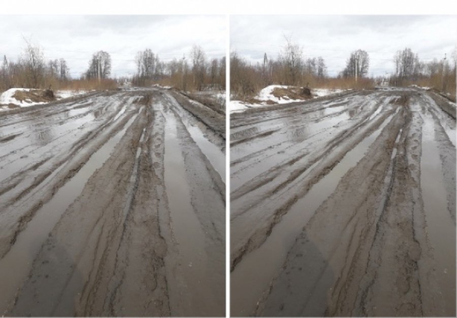 Прокуратура Костромской области ищет виновных в затоплении дороги в Буйском районе