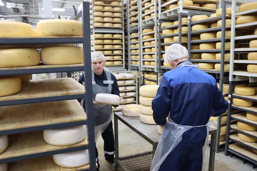 Любителям элитного сыра в Костроме не страшны санкции