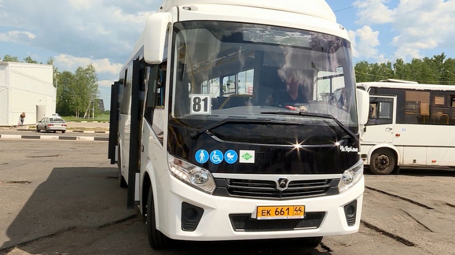 Костромские автобусы проще отслеживать, чем транспорт в других регионах