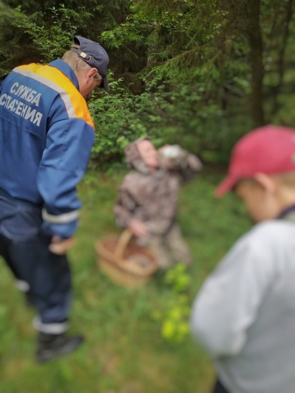 Семья с ребенком заблудилась в костромском лесу
