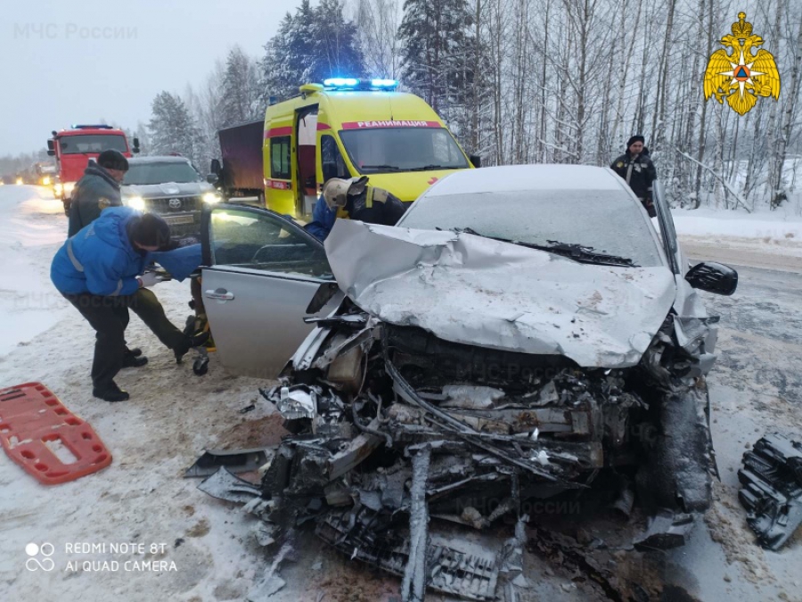 В ДТП с участием двух автомобилей в Костромской области пострадали люди