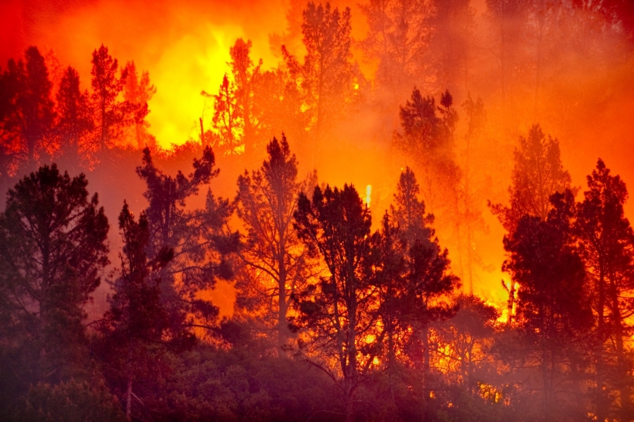 Множество страшных пожаров в Костромской области не произошли благодаря МегаФон