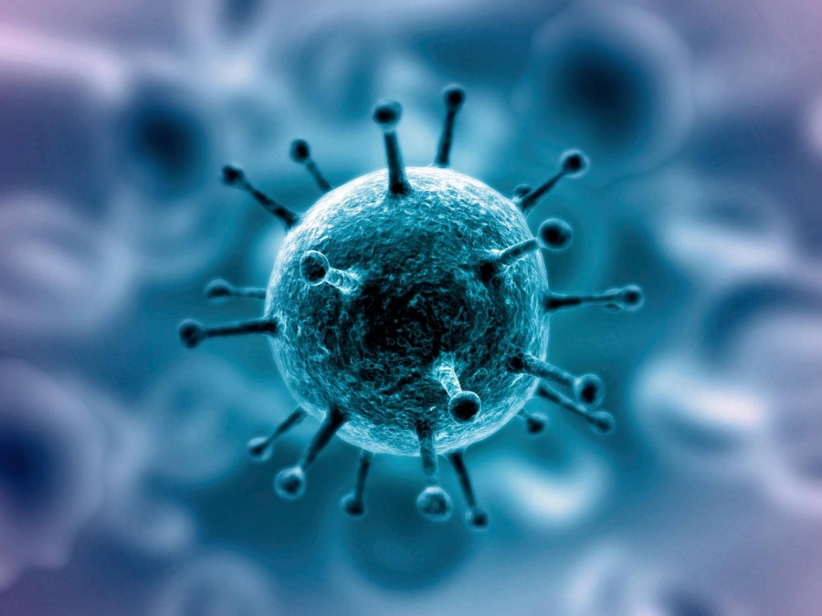 В регионе за сутки выявлено 15 новых случаев коронавирусной инфекции