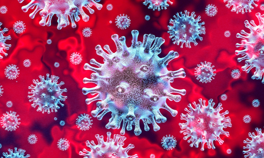 Еще 14 жителей региона заболели коронавирусом