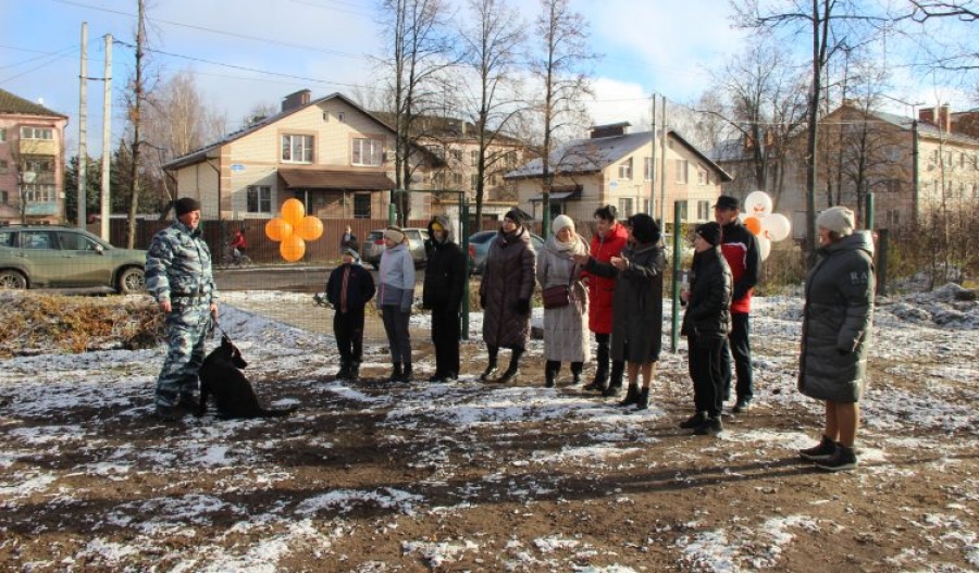 В Костромской области появилась ещё одна площадка для выгула и дрессировки собак