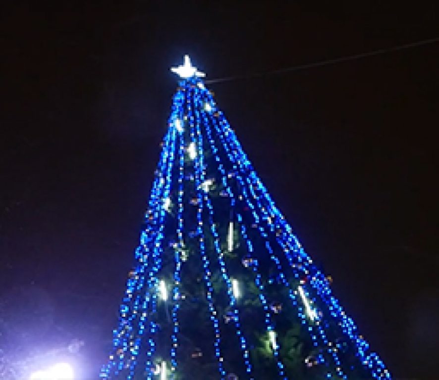 Всероссийский Дед Мороз зажёг огни на главной ёлке Костромы