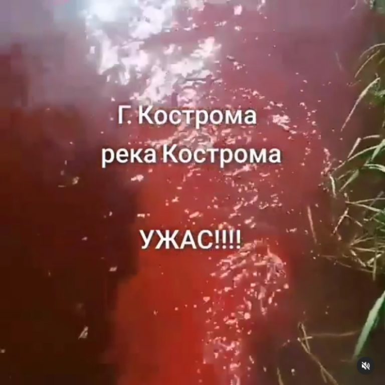 В реку Кострому начали сливать непонятную красную гадость (ВИДЕО)