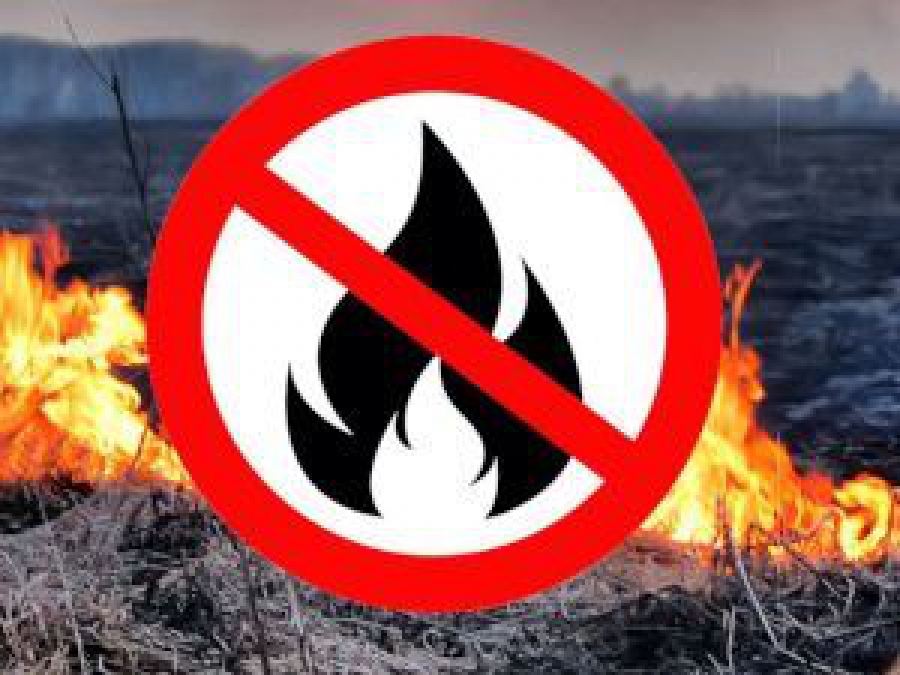 В Макарьевском районе потушили два участка горящего леса