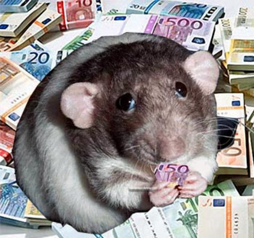 Буйские мыши коварно похитили 172 тысячи рублей