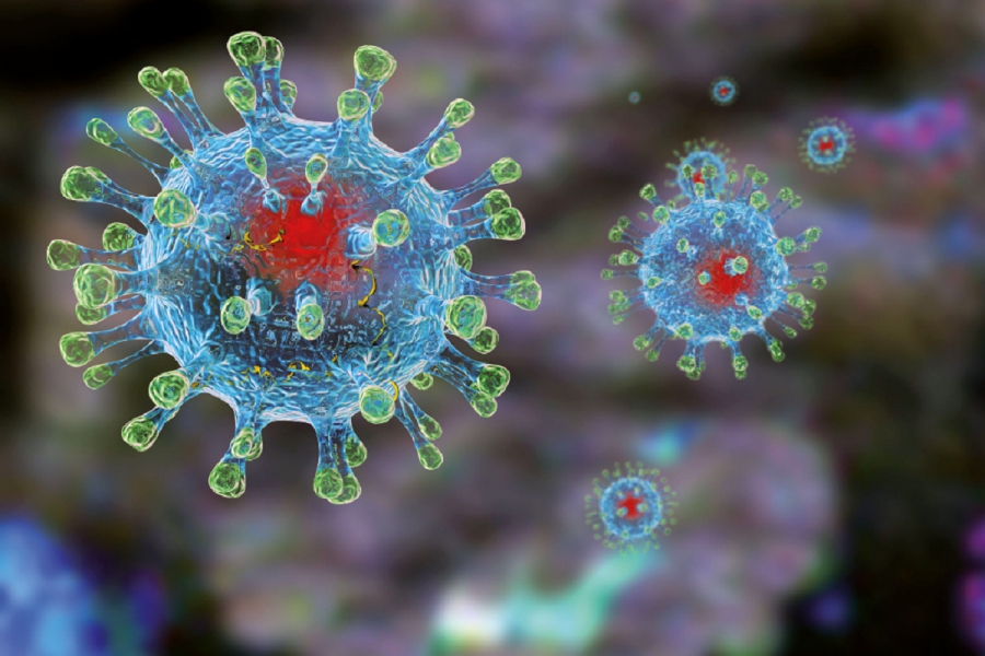 В регионе выявлено 11 новых случаев заболевания коронавирусом