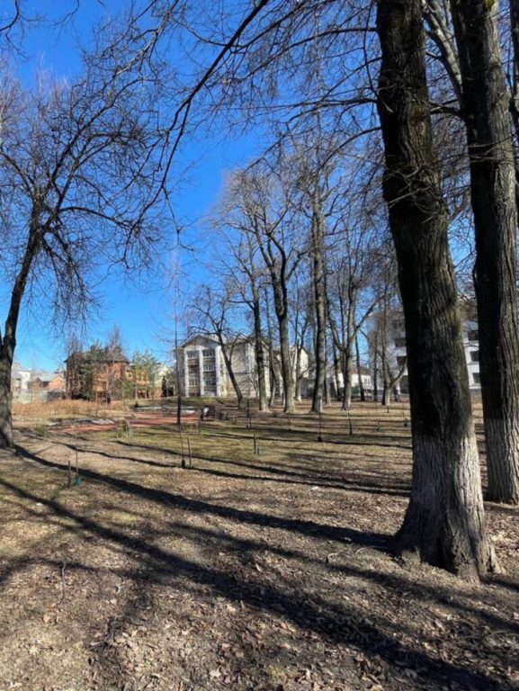 Аллею в старейшем парке Костромы назовут в честь 300-летия прокуратуры