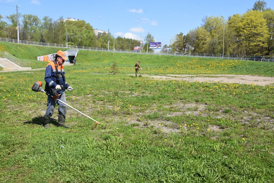 В Костроме планируют скосить траву на 500 гектарах