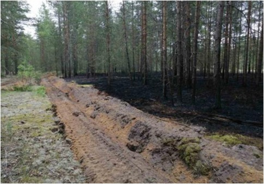 Огнеборцы потушили лесной пожар в Макарьевском районе