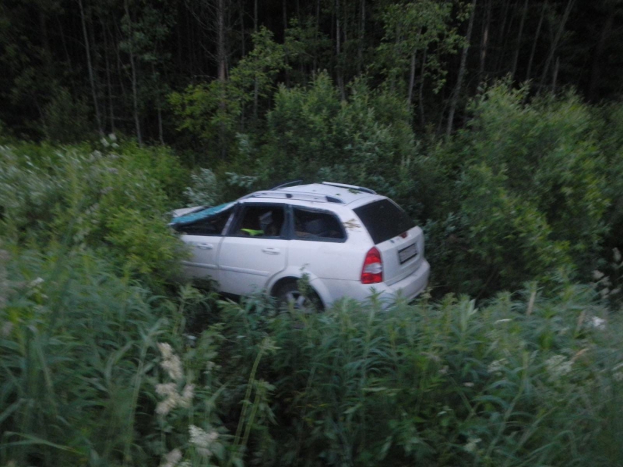 В Костромской области водитель погиб после столкновения с лосем