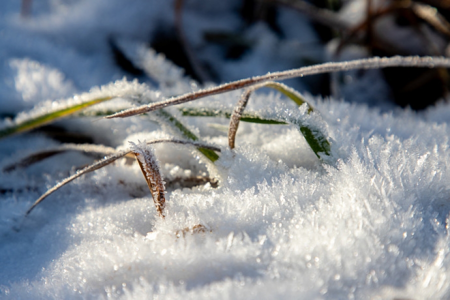 Зима близко: Кострома окажется под облачным куполом и снежным пледом