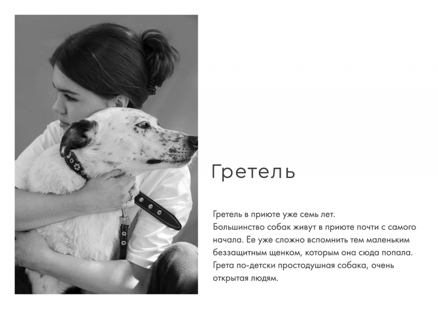 В Костроме устроили трогательную фотосессию для бездомных собак (ФОТО)