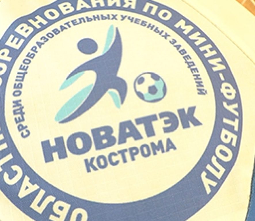 В следующем году НОВАТЭК построит в Костромской области ещё две спортивные площадки в рамках проекта «Шаг к большому футболу»