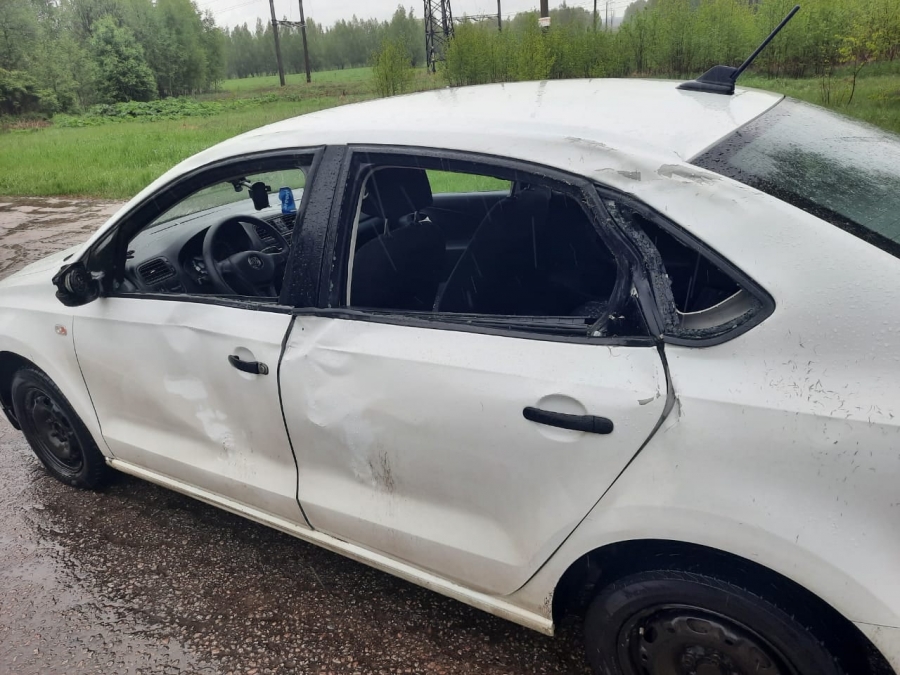 Утром на дороге у посёлка Караваево автомобиль сбил лосёнка (ВИДЕО)