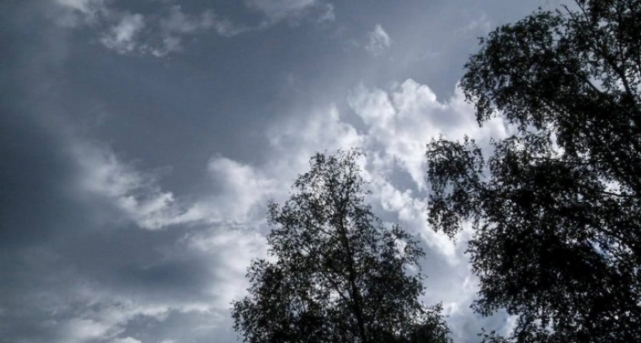 Усиление ветра и гроза с дождём ожидаются в Костроме и области