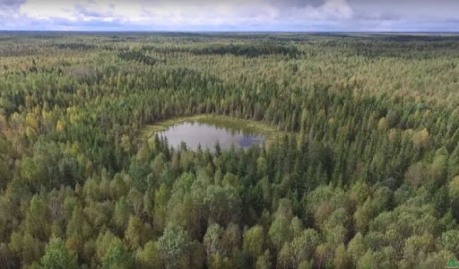 Статус «Кологривского леса» признали на международном уровне
