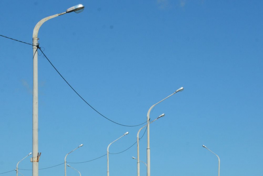 В Костромской области оборудуют освещением популярные у лосей участки дорог