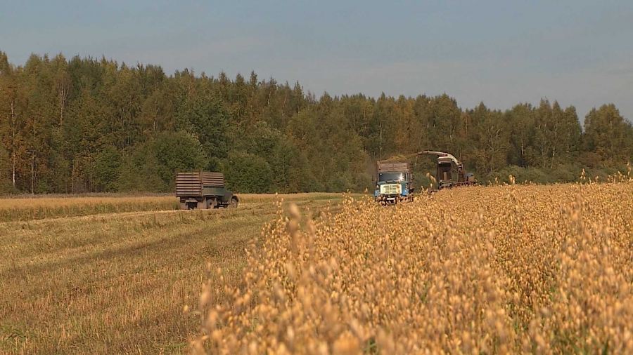 В Костромской области завершают заготовку кормов