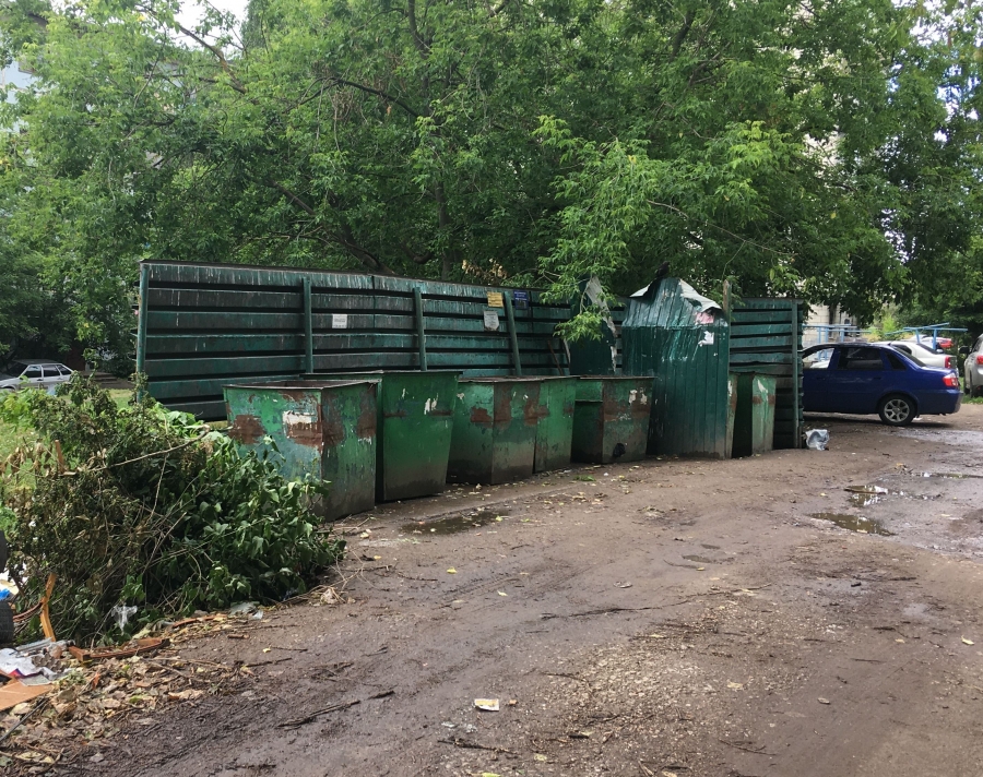 Костромичей просят не выбрасывать ветки и листву в общие мусорные контейнеры