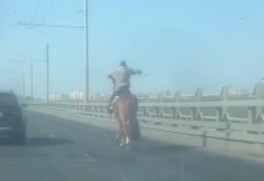 В Костроме на мосту заметили всадника на коне