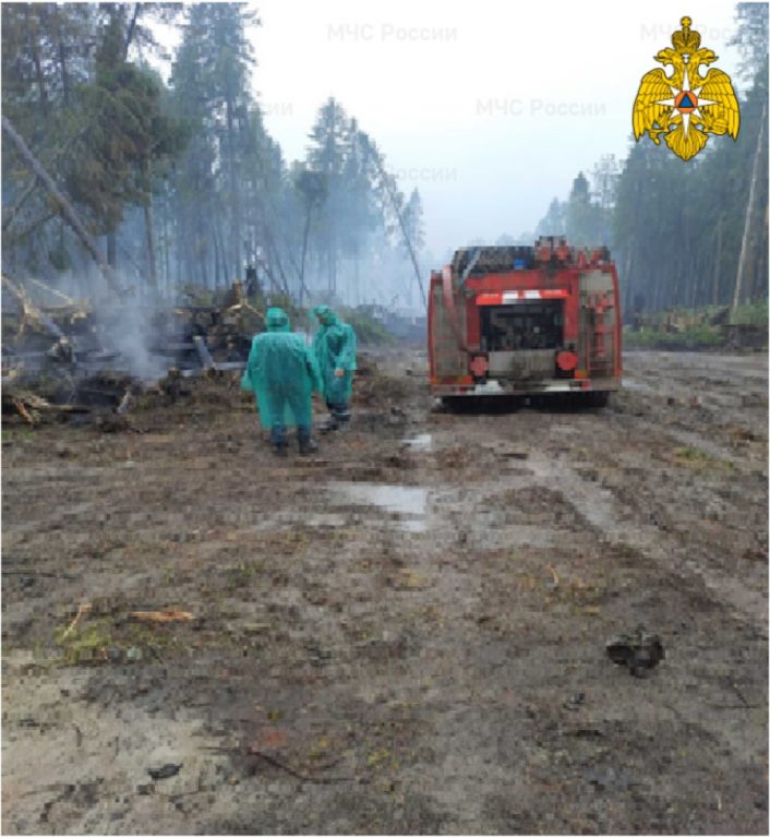 Виновниками пожара в Вохомском лесу объявили любителей черники