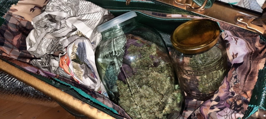 Криминальные заготовки: костромичи хранили марихуану и галлюциногенные грибы