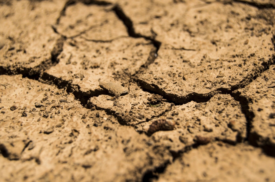 Чего костромичей лишила засуха: убытки региона подсчитал Костромастат