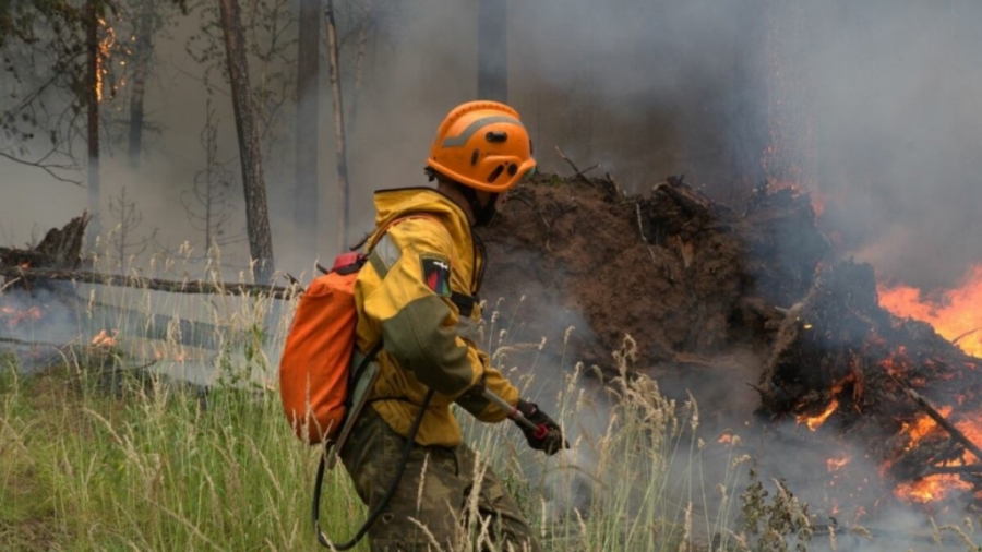 Костромичей предупреждают: в регионе ожидается самый высокий класс пожарной опасности