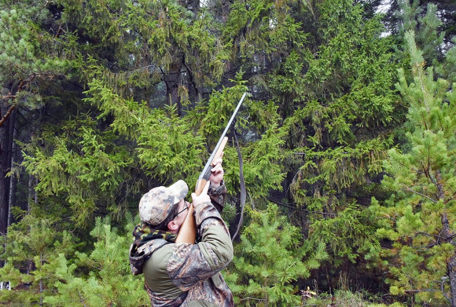 В Костромской области увеличили территорию, на которой запрещена охота