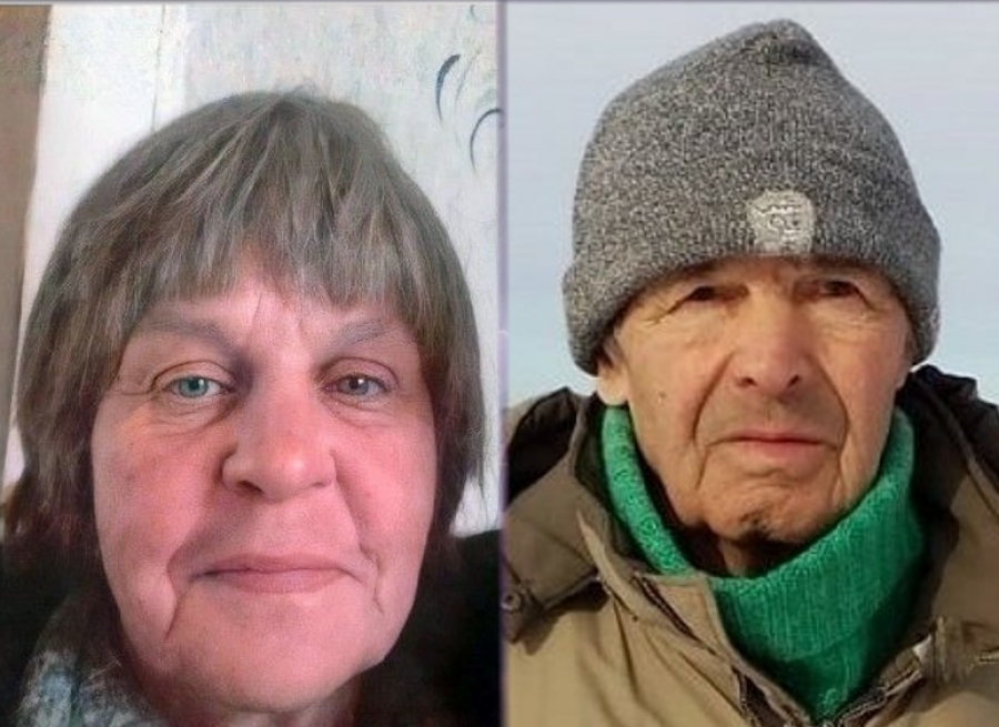 В Костромской области продолжаются поиски двух пожилых людей