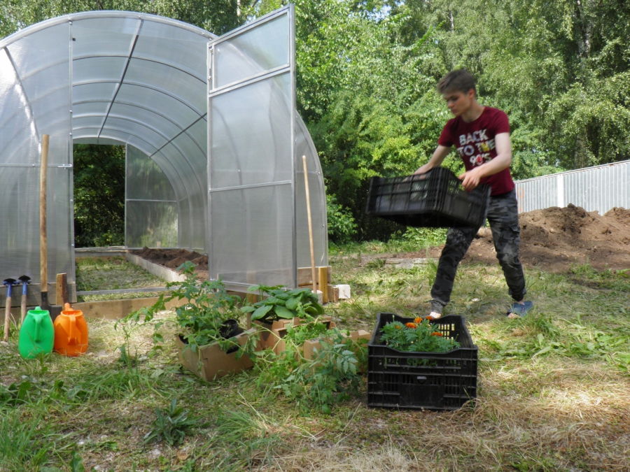 Костромских детей заставят массово выращивать овощи