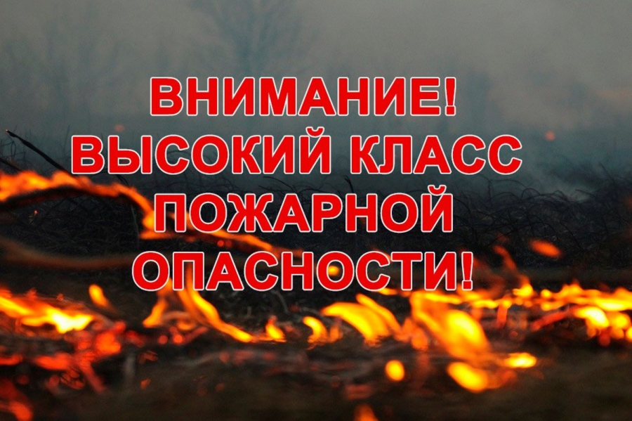 В Костромской области сохраняется высокий риск природных пожаров