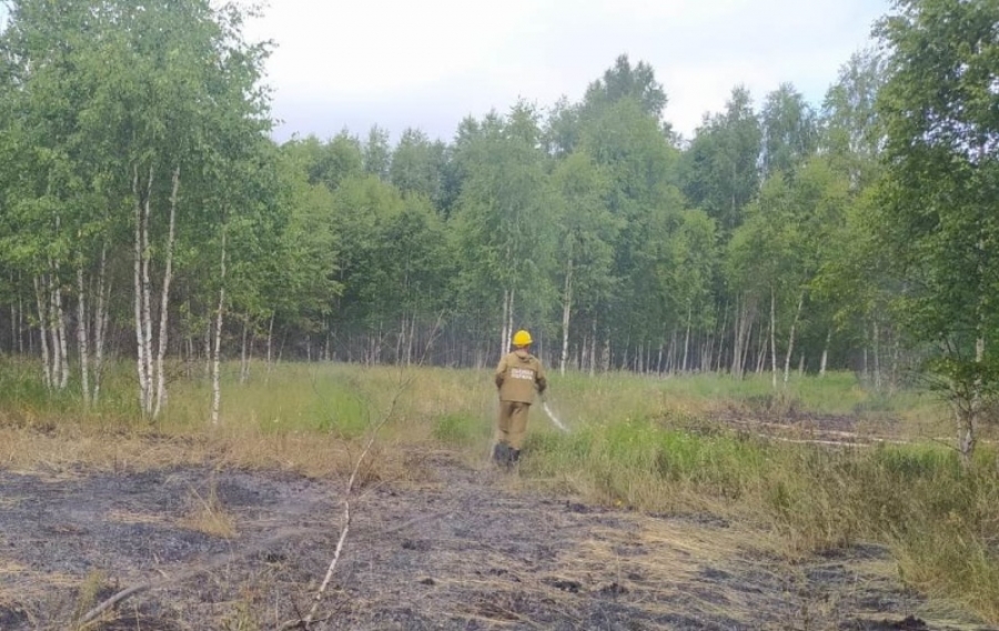 В Костромской области лесничий обнаружил горящие торфяники