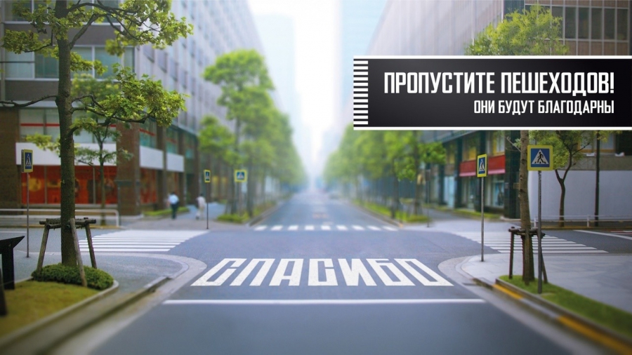В Костромской области сотрудники ГИБДД встанут на защиту пешеходов
