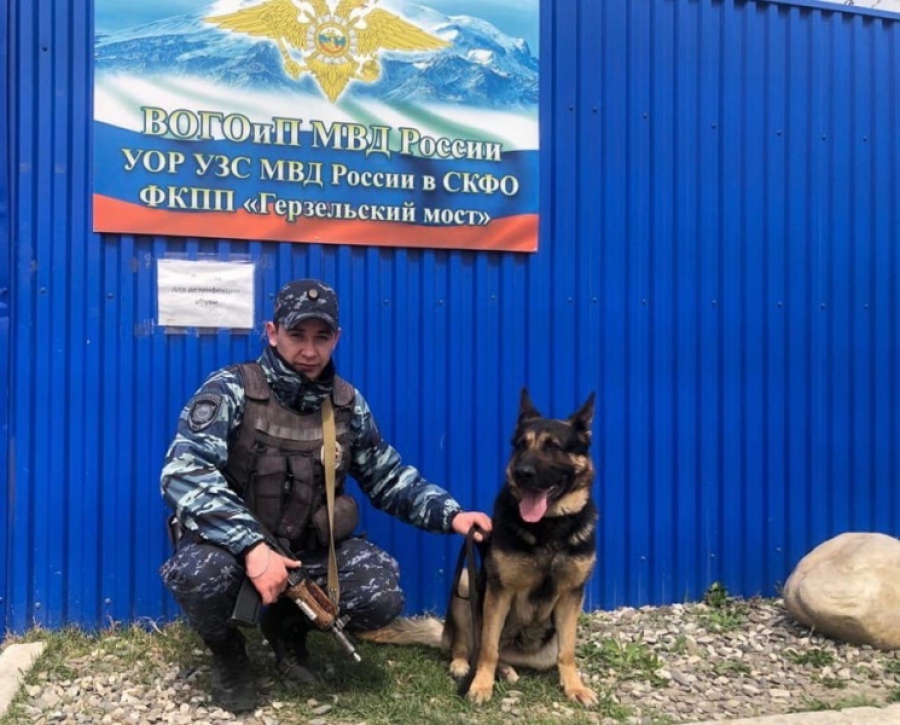 На Кавказе костромские правоохранители обыскали неприметный автомобиль по «наводке» собаки Белки