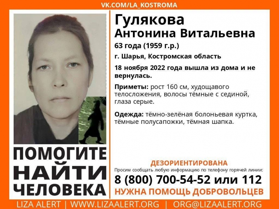 Дезориентирована: в Костромской области ищут женщину неспособную узнавать свое местоположение