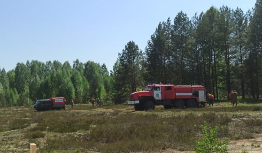 Пожар в Костромской области мог уничтожить целую деревню