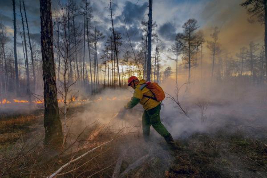 Костромских пожарных наградят за тушение масштабного лесного пожара