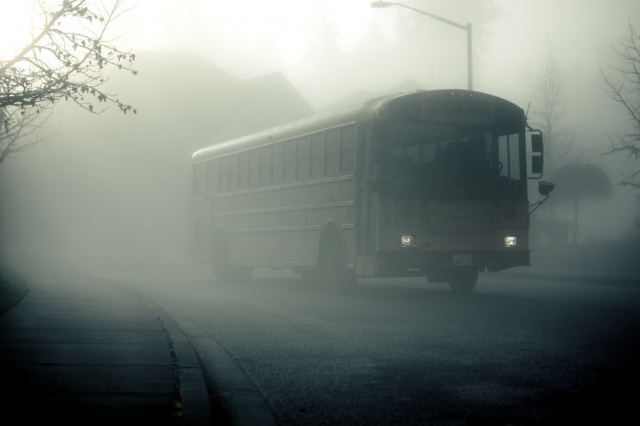 В Костроме появились автобусы-призраки