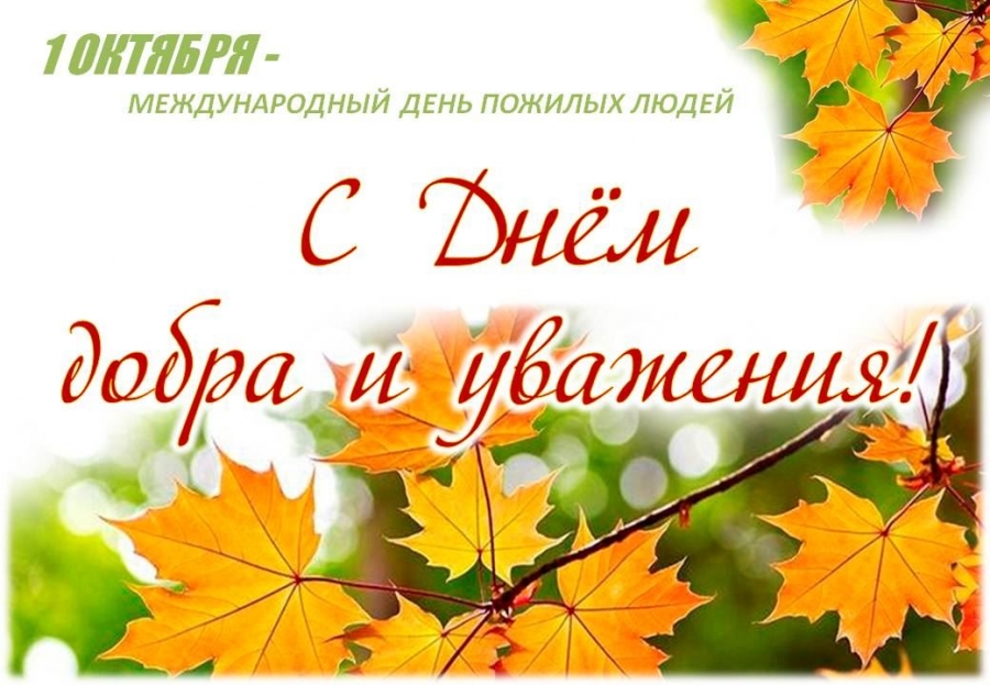 В Костроме стартует празднование Дня пожилых людей (ПОЛНАЯ ПРОГРАММА)