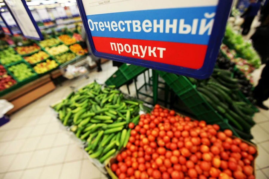 Костромским предпринимателям предоставят под импортозамещение земельные участки