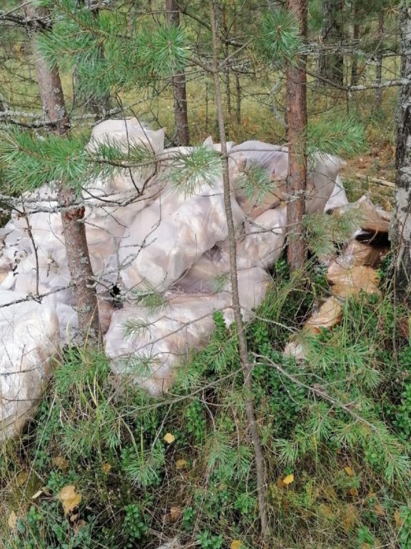 Костромичей возмутили выброшенные в лесу мешки с хлебом