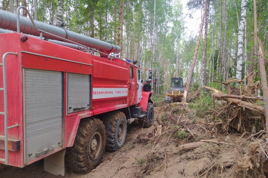 В Костромской области вторые сутки тушат лесной пожар